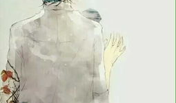 动漫男背影,探寻动漫中的经典男性形象